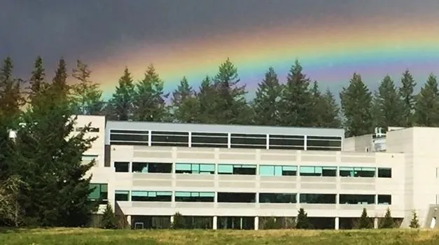 rainbow-over-ecology-1.jpg