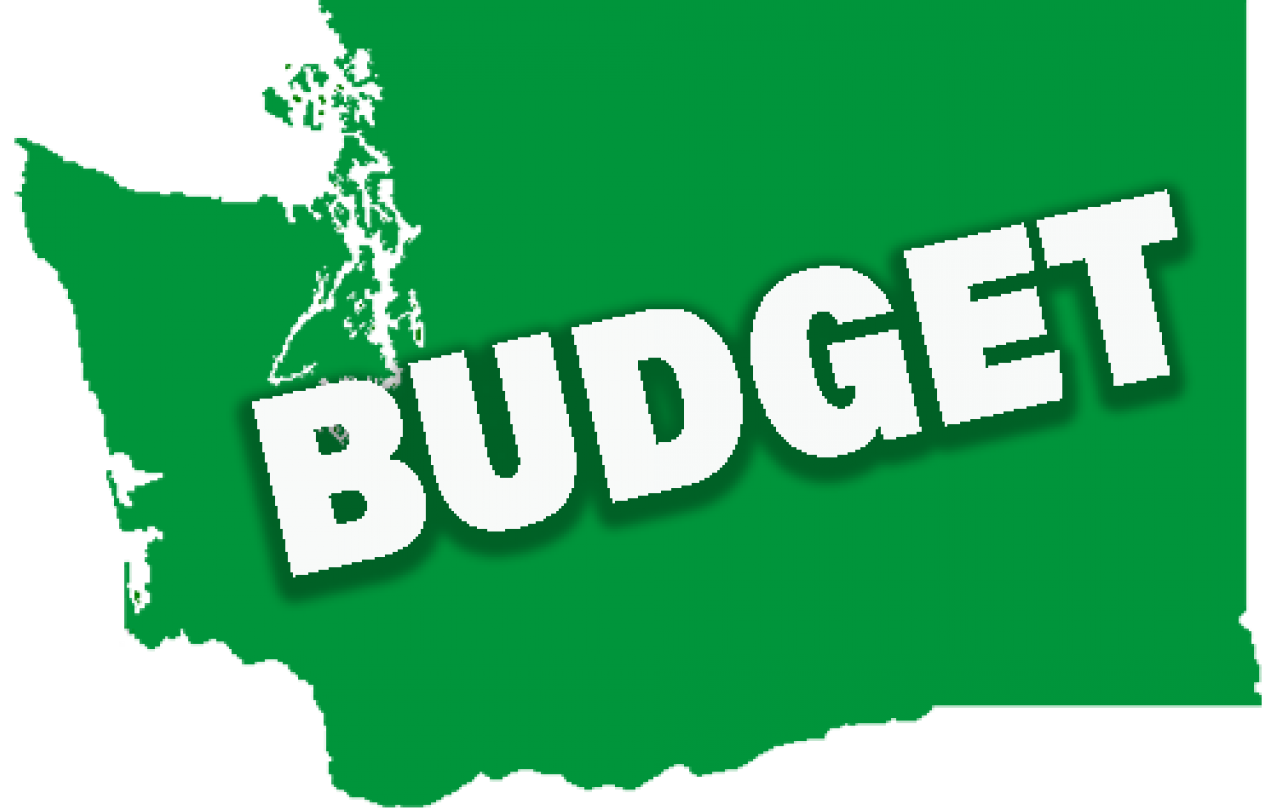 Supplement budget 2018