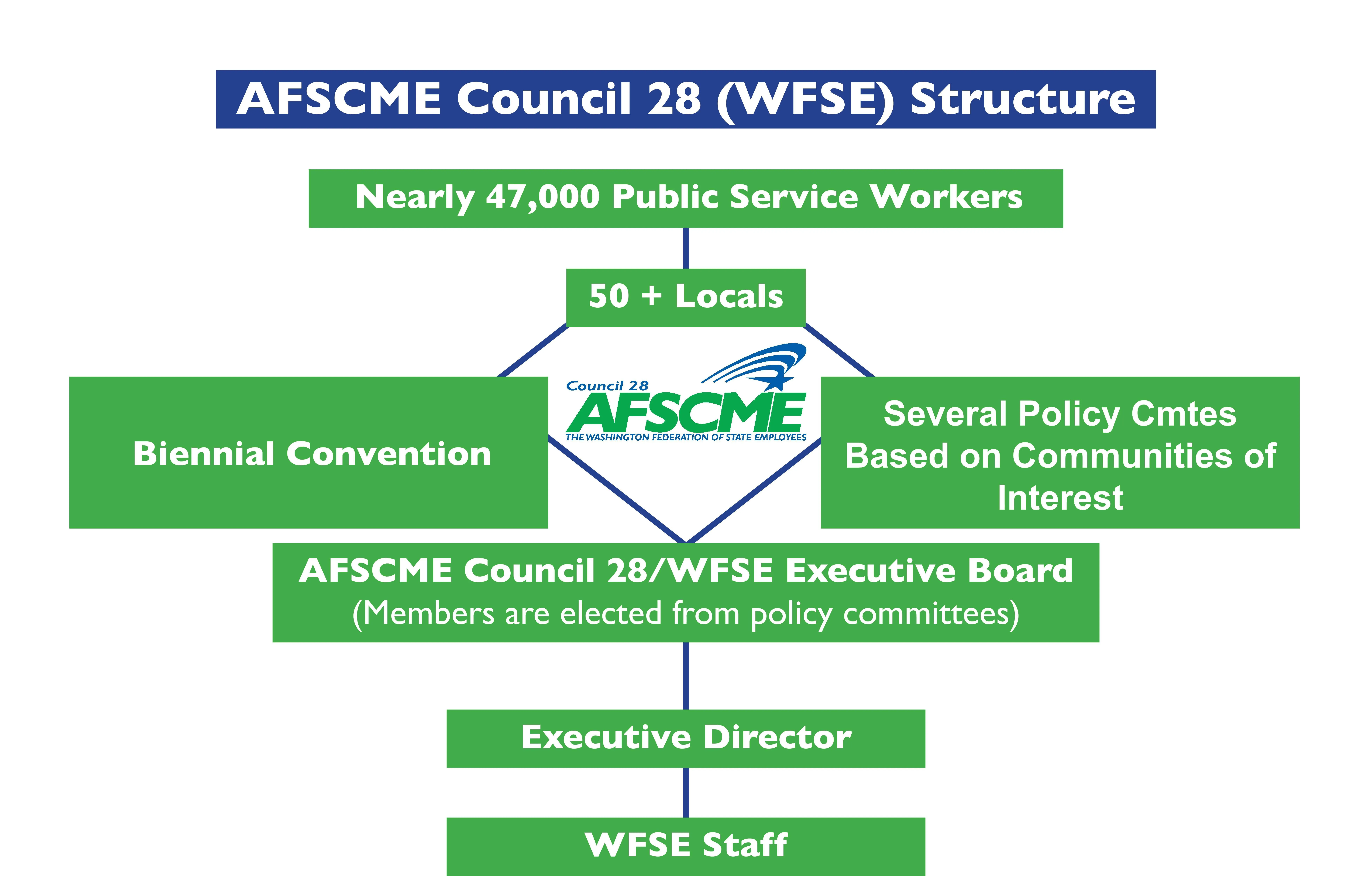 Flow chart describing the WFSE structure