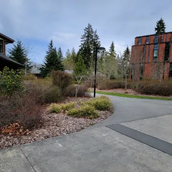 Landscaping at Peninsula College.