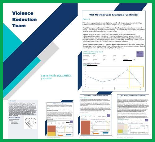 VRT report that showed a direct correlation between VRT services and a reduction in assaults