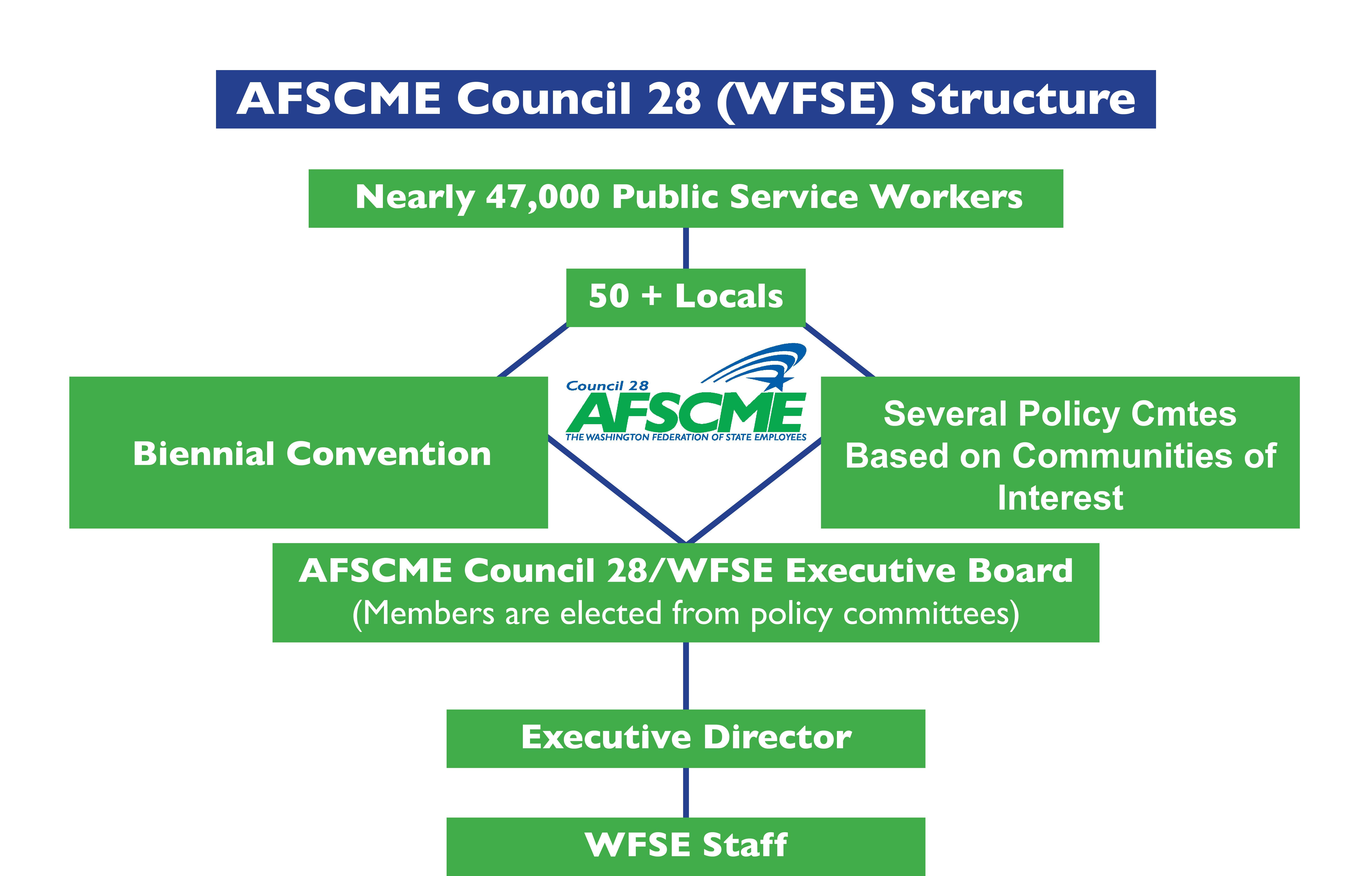 Chart explaining WFSE structure: Members, Locals, Policy Groups, Biennial Convention, E-Board, Exec. Dir., and then staff